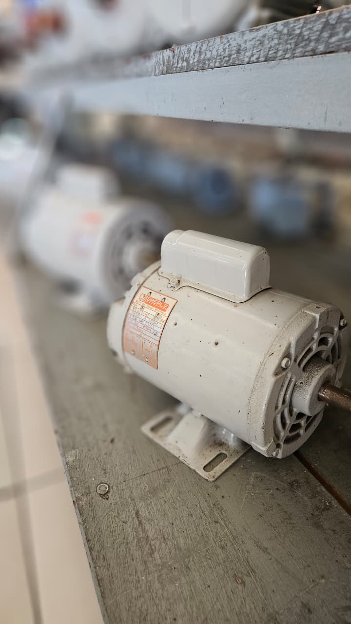 Motores elétricos trifásicos e monofásicos (2)