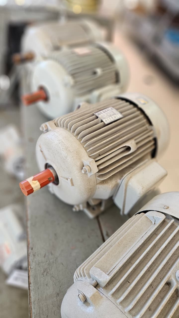 Motores elétricos trifásicos e monofásicos (3)